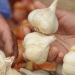 ISPROBAN I PROVJEREN RECEPT ZA ČIŠĆENJE JETRE: Zapamtite da je jetra organ koji obavlja više od 500 funkcija…